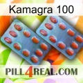 Kamagra 100 05